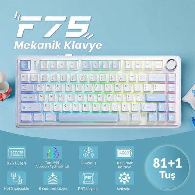 Aula F75 Mekanik RGB TKL GrayWood V3 Switch Kablosuz Makrolu Hot Swap Klavye Buz Mavisi - 2