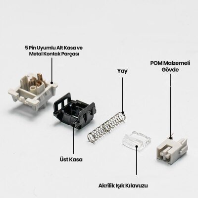 Aula Leobog Gray Wood V4 Lineer Mekanik Switch 100 Adet - 4