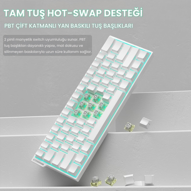 Aula Mini 60 He Pro Hall Effect Manyetik Klavye Rapid Trigger Mistcloud Switch 8000Hz RGB TKL Hot Swap Oyuncu Klavyesi Beyaz - 6