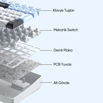 Aula S100 Pro Red Switch How Swap RGB Mekanik Klavye Bluetooth Kablolu Kablosuz Bağlantı Mavi - 5