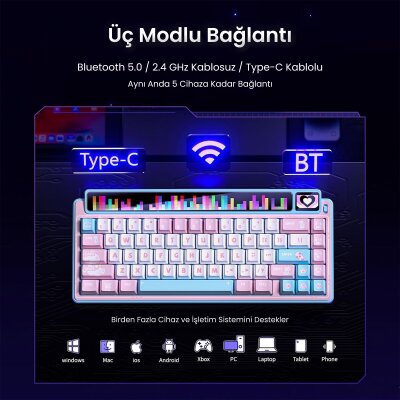 Leobog AMG65 Mekanik Klavye LED Matrix Ekranlı Jasper Switch RGB Hot-Swap Oyuncu Klavyesi Pembe - 5