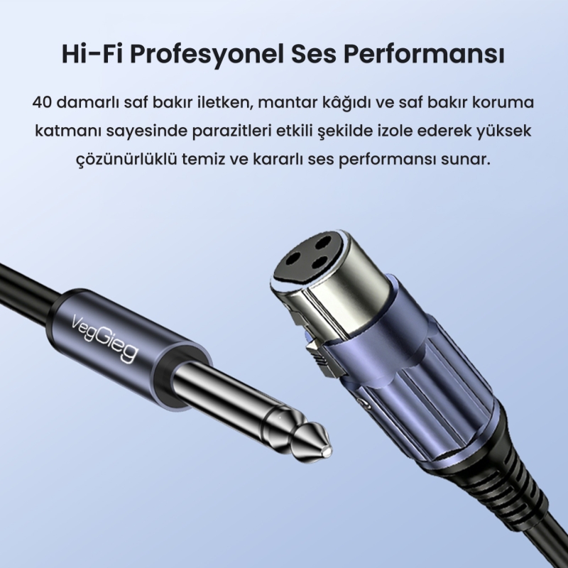 VegGieg 6.35mm to XLR Dişi Mikrofon Kablosu Hi-Fi Ses Kalitesi OFC Bakır Enstrüman Ses Kablosu 2 Metre - 2